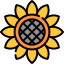 Sunflower icon 64x64