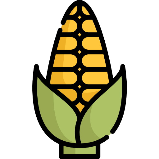 Corn icon