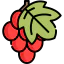 Grape icon 64x64