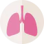 Lung icon 64x64