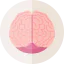 Brain icon 64x64