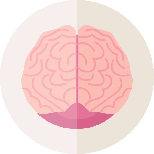 Brain icon