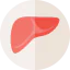 Liver icône 64x64