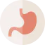 Stomach icon 64x64