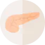 Pancreas icon 64x64