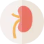 Spleen icon 64x64