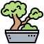 Bonsai icon 64x64