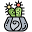 Cactus icon 64x64