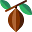 Cocoa bean biểu tượng 64x64