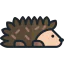 Hedgehog 图标 64x64
