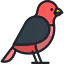 Bird 图标 64x64