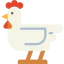 Chicken icon 64x64