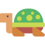 Turtle icon 64x64