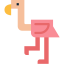 Flamingo 图标 64x64