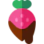 Strawberry Symbol 64x64