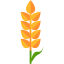Wheat icon 64x64
