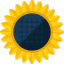 Sunflower icon 64x64