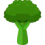 Broccoli icon 64x64
