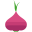 Onion icon 64x64