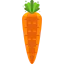 Carrot icon 64x64
