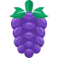 Grapes Ikona 64x64