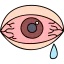 Conjunctivitis icon 64x64