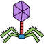 Virus icon 64x64