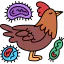 Chicken icon 64x64