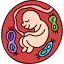 Embryo icon 64x64