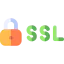 Ssl icon 64x64
