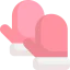 Mittens icon 64x64