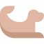 Walrus icon 64x64