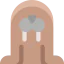 Walrus icon 64x64