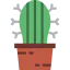 Cactus biểu tượng 64x64