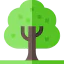 Tree icon 64x64