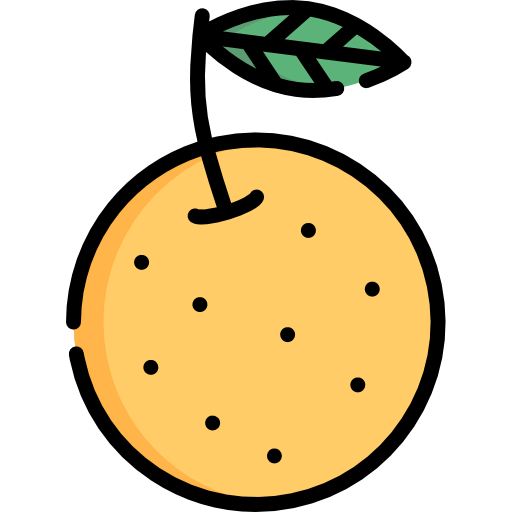 Orange icon