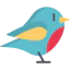 Robin Ikona 64x64