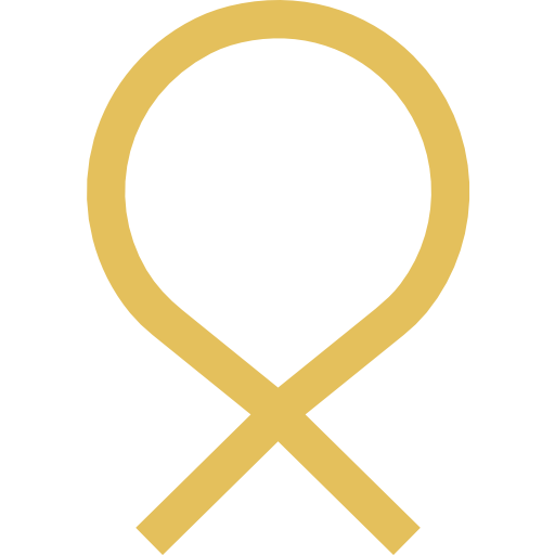 Understanding icon