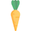 Carrot Ikona 64x64