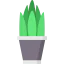 Plant biểu tượng 64x64