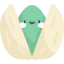 Pistachio icon 64x64