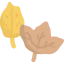 Leaf icon 64x64