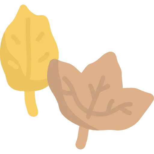 Leaf icon
