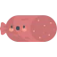 Salami icon 64x64