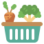 Fruits 图标 64x64