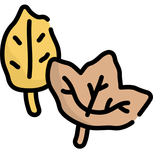 Leaf icon