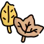 Leaf icon 64x64