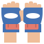 Перчатки иконка 64x64