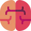 Brain 图标 64x64
