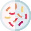 Petri dish 图标 64x64